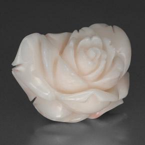 Corallo naturale bianco da 34,31 ct, forma fantasia, opaco