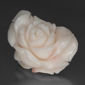 Corallo naturale bianco da 34,31 ct, forma fantasia, opaco