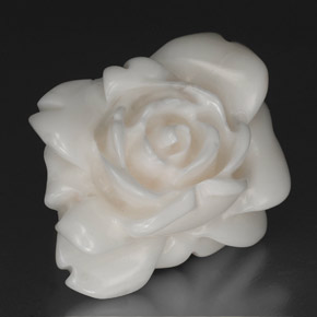 Corallo Bianco naturale da 27.83 ct, Forma fantasia, Opaco