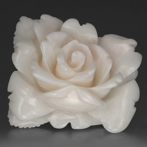 Corallo naturale bianco da 18,84 ct, forma fantasia, opaco