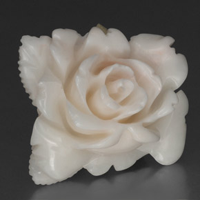 Corallo naturale bianco da 18,84 ct, forma fantasia, opaco
