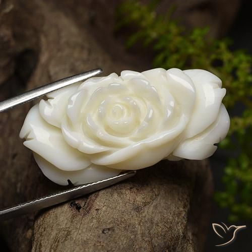 Corallo Bianco brillante naturale da 36.24 ct, Taglio a fiore, Opaco