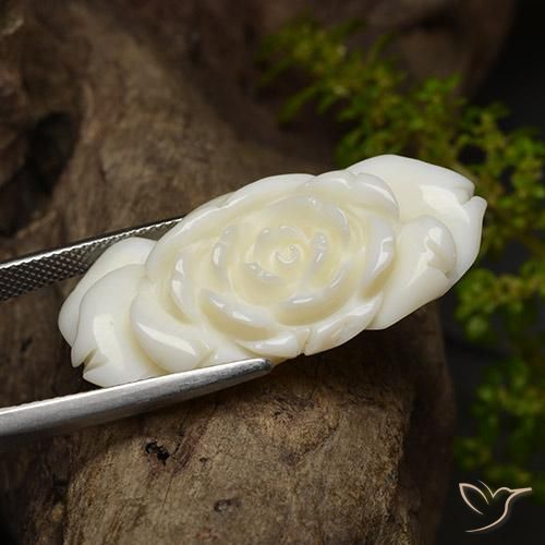 Corallo Bianco brillante naturale da 36.24 ct, Taglio a fiore, Opaco