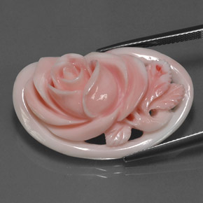 Corallo Rosa naturale da 28.77 ct, Forma fantasia, Opaco