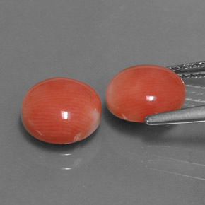 Gemme di Corallo Bianco salmone naturale da  ct, Taglio rotondo, Opaco