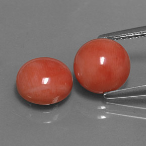 Gemme di Corallo Bianco salmone naturale da  ct, Taglio rotondo, Opaco