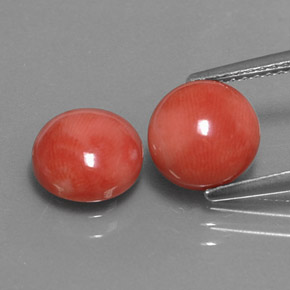 Gemme di Corallo Bianco salmone naturale da  ct, Taglio rotondo, Opaco