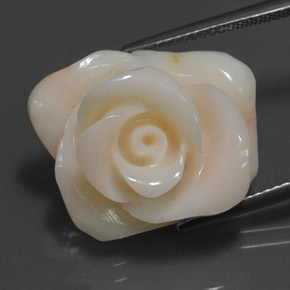 Corallo naturale crema da 18,54 ct, forma fantasia, opaco