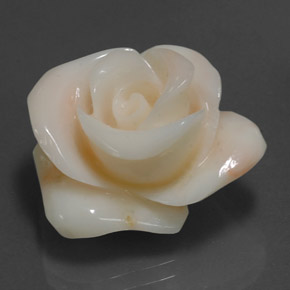 Corallo naturale crema da 18,54 ct, forma fantasia, opaco
