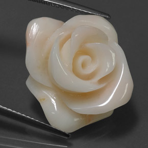 Corallo naturale crema da 18,54 ct, forma fantasia, opaco