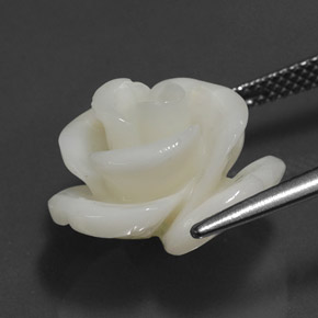 Corallo naturale bianco da 9,54 ct, forma fantasia, opaco