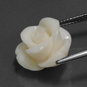 Corallo Bianco naturale da 8.97 ct, Forma fantasia, Opaco