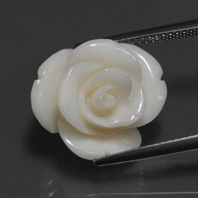 Corallo naturale bianco da 10,95 ct, forma fantasia, opaco