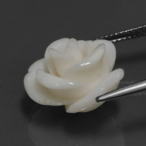 Corallo naturale bianco da 10,95 ct, forma fantasia, opaco
