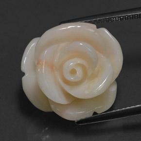 Corallo naturale rosa da 17,14 ct, forma fantasia, opaco