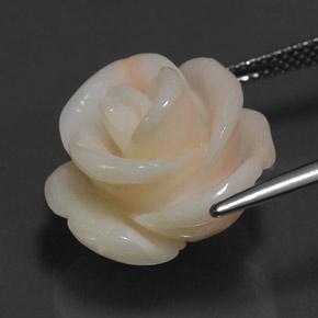 Corallo naturale rosa da 17,14 ct, forma fantasia, opaco