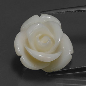 Corallo naturale bianco da 14,08 ct, forma fantasia, opaco