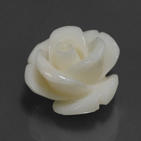 Corallo naturale bianco da 14,08 ct, forma fantasia, opaco
