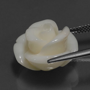 Corallo naturale bianco da 14,08 ct, forma fantasia, opaco
