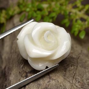 Corallo naturale bianco da 11,16 ct, taglio fiore, opaco