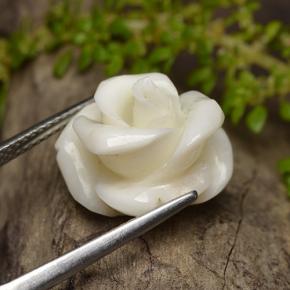 Corallo naturale bianco da 11,16 ct, taglio fiore, opaco