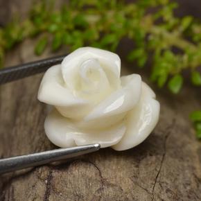 Corallo naturale bianco da 11,16 ct, taglio fiore, opaco