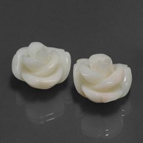 Corallo naturale rosa da 25,34 ct, forma fantasia, opaco