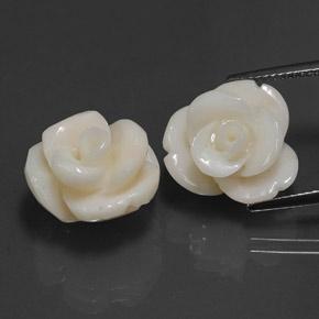 Corallo naturale bianco da 21,60 ct, taglio fiore, opaco