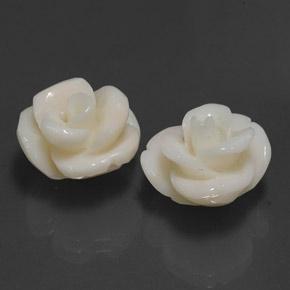 Corallo naturale bianco da 21,60 ct, taglio fiore, opaco