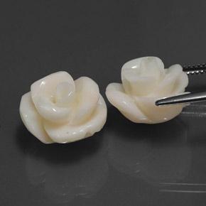 Corallo naturale bianco da 21,60 ct, taglio fiore, opaco