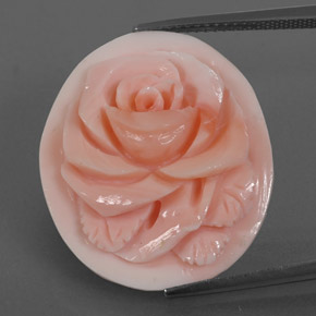 Corallo naturale rosa da 15,77 ct, forma fantasia, opaco