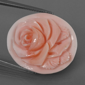 Corallo naturale rosa da 15,77 ct, forma fantasia, opaco