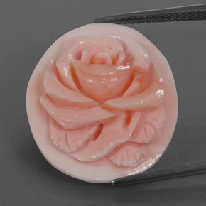Corallo naturale rosa da 15,77 ct, forma fantasia, opaco