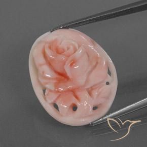 Corallo rosa fenicottero naturale da 15.39 ct, Taglio a fantasia, Opaco