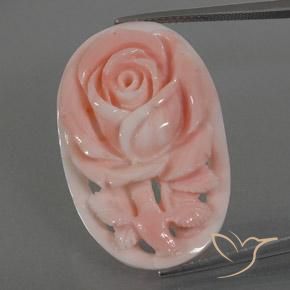 22.80ct Naturale rosa fenicottero Corallo, Taglio a fantasia, Opaco, Photo A