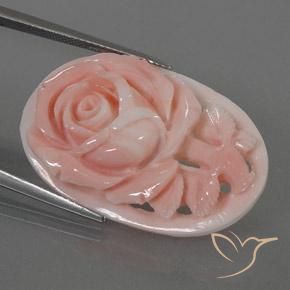 Corallo rosa fenicottero naturale da 22.80 ct, Taglio a fantasia, Opaco