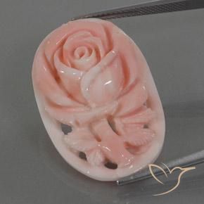 Corallo rosa fenicottero naturale da 22.80 ct, Taglio a fantasia, Opaco