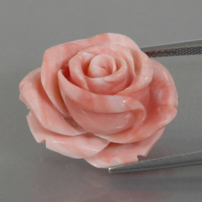 Corallo naturale rosa da 25,74 ct, forma fantasia, opaco