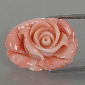 Corallo naturale multicolore da 22,59 ct, forma fantasia, opaco