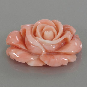 Corallo naturale multicolore da 22,59 ct, forma fantasia, opaco