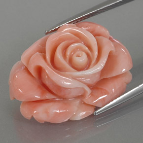 Corallo naturale multicolore da 22,59 ct, forma fantasia, opaco
