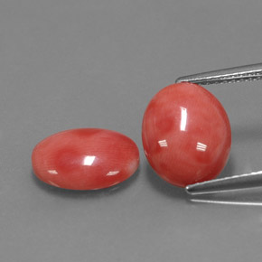Gemme di Corallo Bianco salmone naturale da  ct, Taglio ovale, Opaco