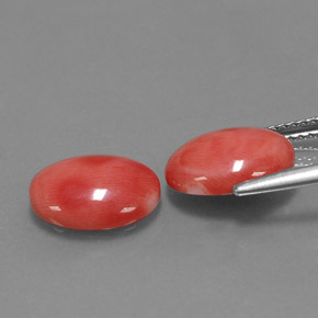 Gemme di Corallo Bianco salmone naturale da  ct, Taglio ovale, Opaco