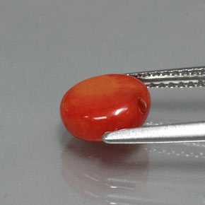 Corallo Color salmone naturale da 1.95 ct, Forma fantasia, Opaco