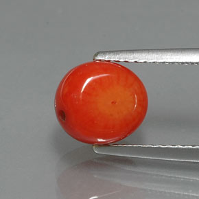 Corallo salmone naturale da 2,62 ct, forma fantasia, opaco