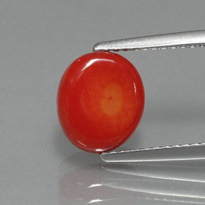 Corallo naturale rosa da 2,35 ct, forma fantasia, opaco