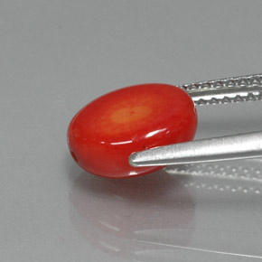 Corallo naturale rosa da 2,35 ct, forma fantasia, opaco