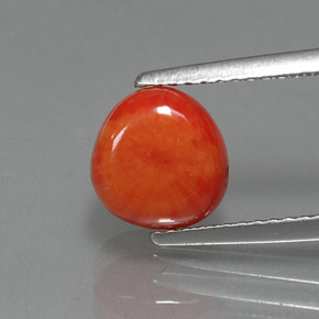Corallo naturale rosa da 2,25 ct, forma fantasia, opaco