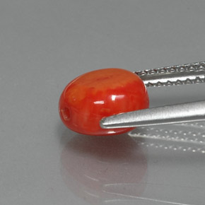 Corallo naturale rosa da 2,25 ct, forma fantasia, opaco