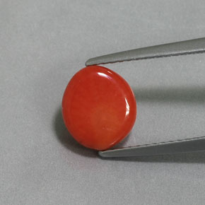 Corallo naturale rosa da 2,12 ct, forma fantasia, opaco